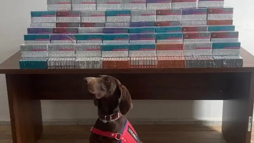 Bolu'da binlerce elektronik sigara kiti ele geçirildi