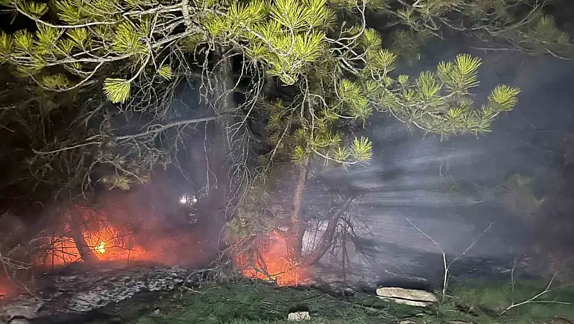 Bolu'da ormanlık alanda yangın