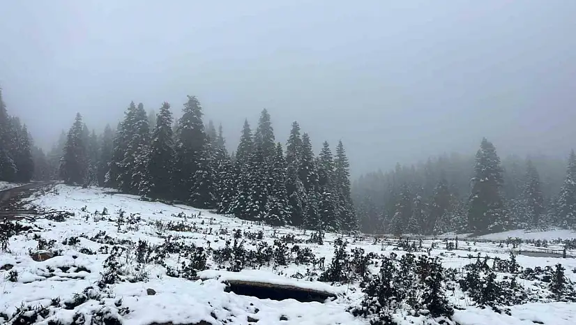 Bolu'nun yüksekleri beyaz örtüyle kaplandı