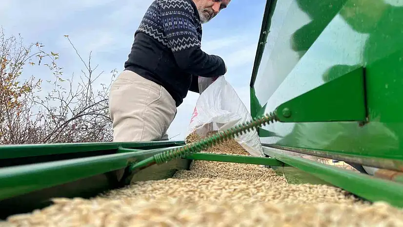 Çiftçilerin ekim mesaisi başladı, 12 bin yıllık siyez toprakla buluştu