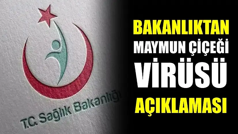 DSÖ küresel acil durum ilan etti