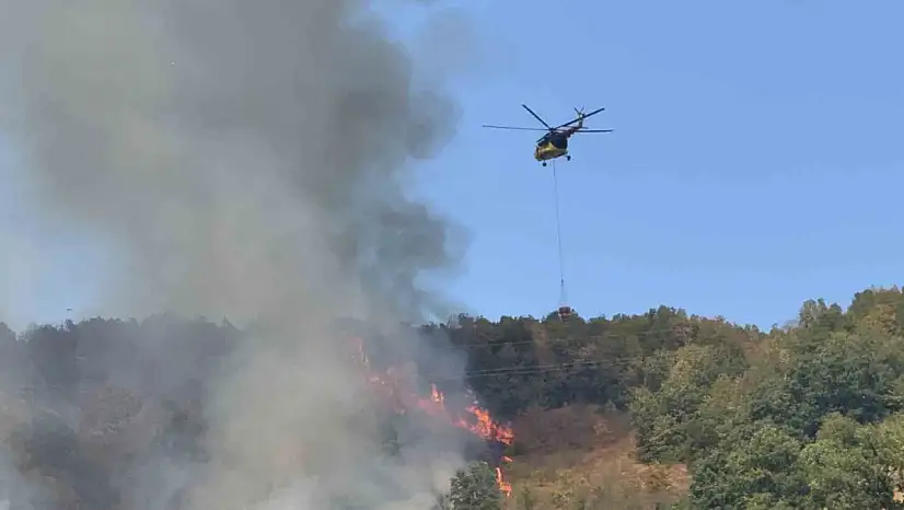 Düzce'deki orman yangınına helikopter ve 20 araçla müdahale sürüyor