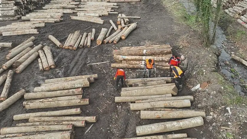 Düzce'den 22 bin 310,95 ton orman ürünü ihraç edildi