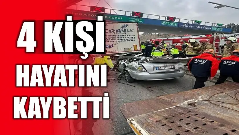Feci kaza