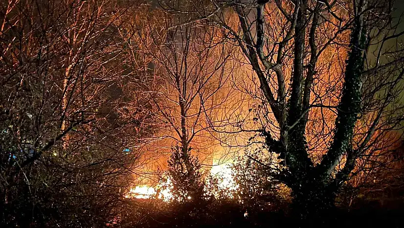 Filyos'ta ağaçlık alanda çıkan yangın korkuttu