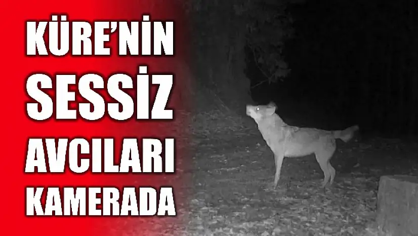 Fotokapana takıldılar