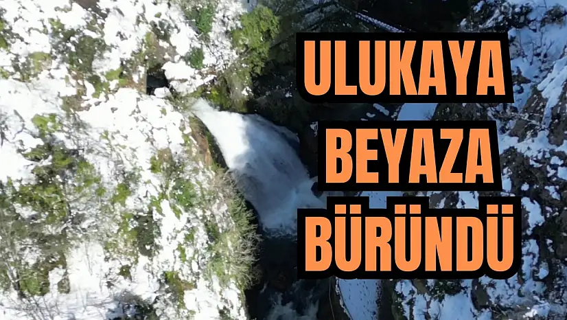 Görsel şölen oluşturdu