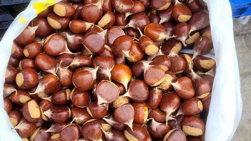 Kestane pazara indi: Kilogramı 400 liradan satılıyor