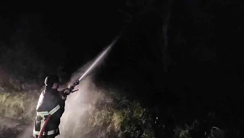 Kastamonu'da çıkan orman yangını söndürüldü