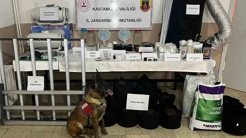 Kastamonu'da uyuşturucu operasyonu:  6 gözaltı