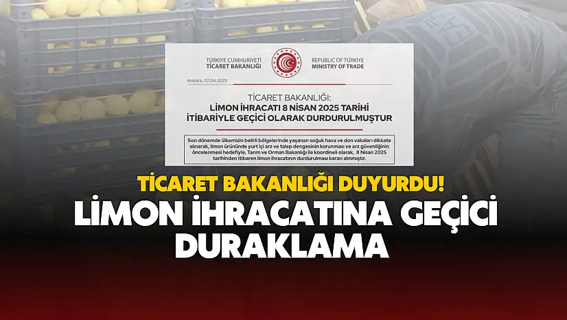 Limon İhracatına Geçici Duraklama