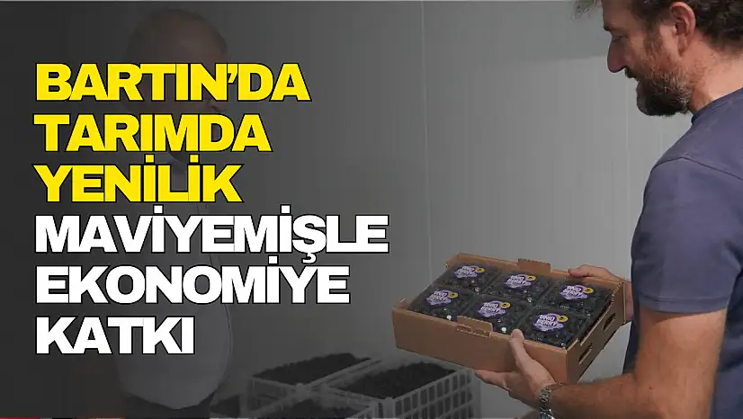 Maviyemişle Ekonomiye Katkı