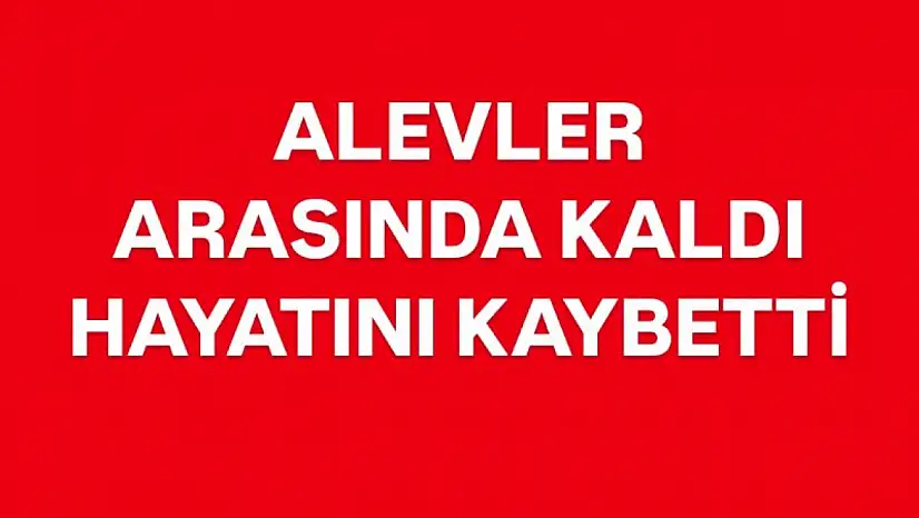 Otları yakmak istedi, hayatını kaybetti