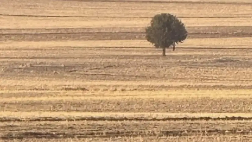 Silopi'de bir kişi arazide ölü bulundu