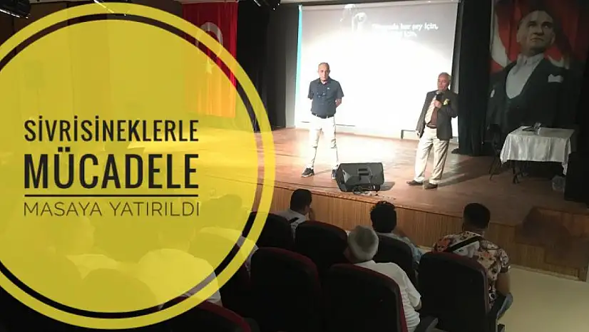 Sivrisineklerle mücadele masaya yatırıldı