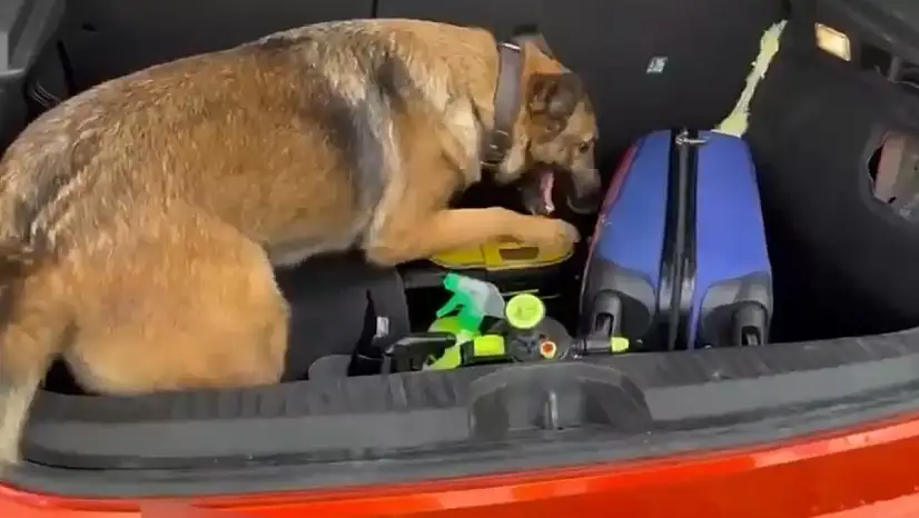 Süpürgeye zulalanmış uyuşturucu ele geçirildi