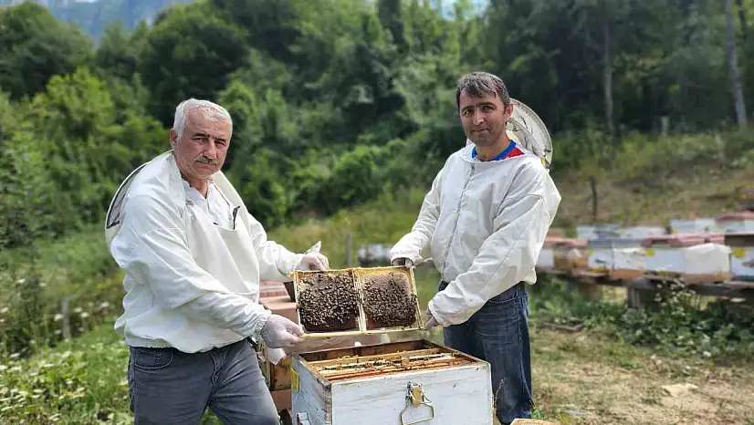 Türkiye'nin AB tescilli 43'üncü ürünü Yenice ıhlamur balı oldu