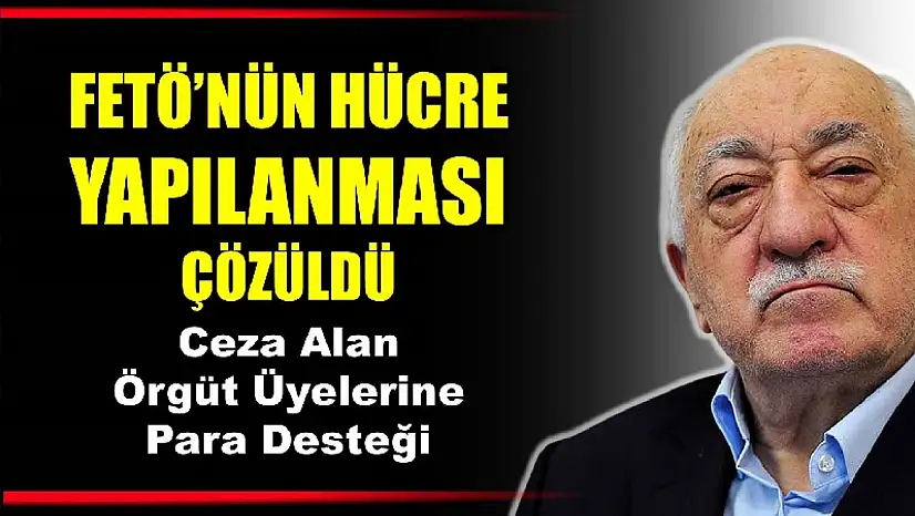 Yeni hücre yapılanmasına hız