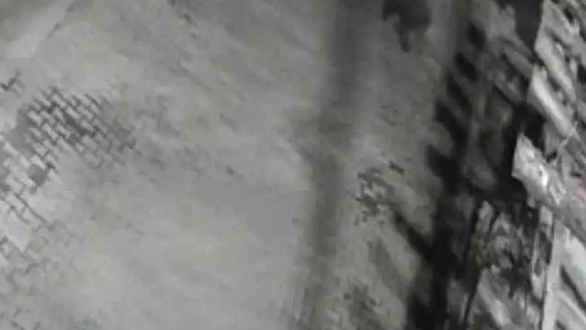 Yerleşim alanına inen ayılar köy sakininden korkup kaçtı