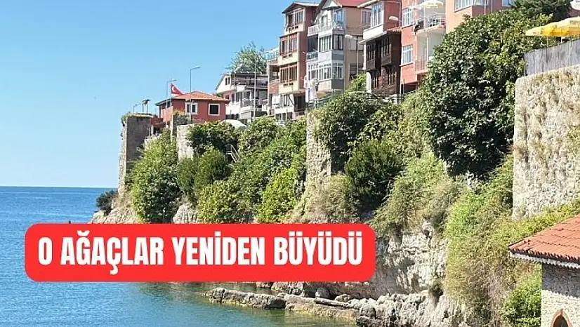 Zarar vermeye devam ediyor