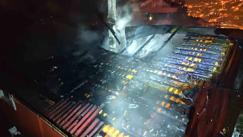 Zonguldak'ta alevler geceyi aydınlattı, itfaiye papağanı yangın ortasından kurtardı