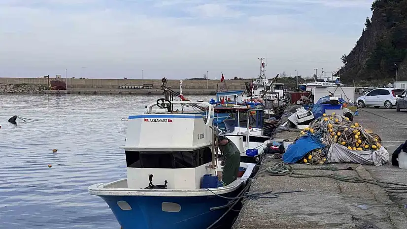 Hamsi yoğunluğu yaşandı, palamut çıkmadı