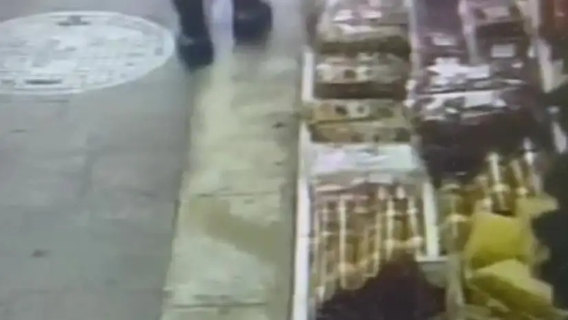 Zonguldak'ta kuruyemişçiden ceviz hırsızlığı güvenlik kamerasında