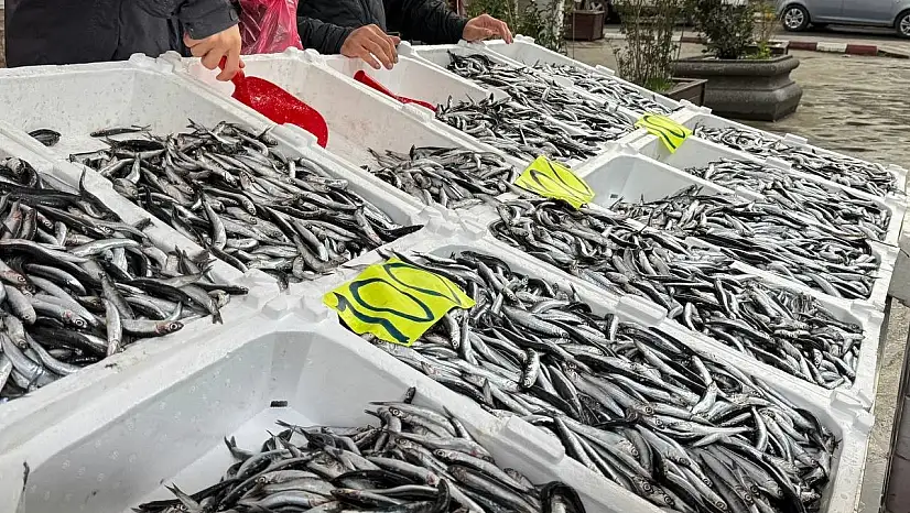 Zonguldak'ta Sevgililer Günü'ne özel hamsi kampanyası