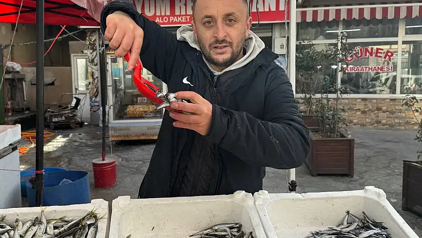 Zonguldak'ta tezgahlar istavritle şenlendi