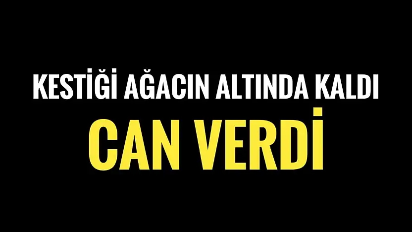 Ağacın altında kaldı