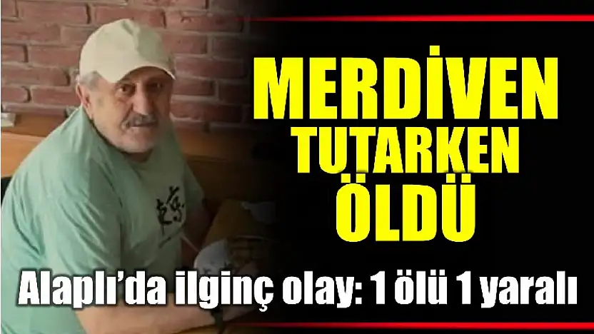 Ağaçtan düştü, merdiveni tutan kişi hayatını kaybetti