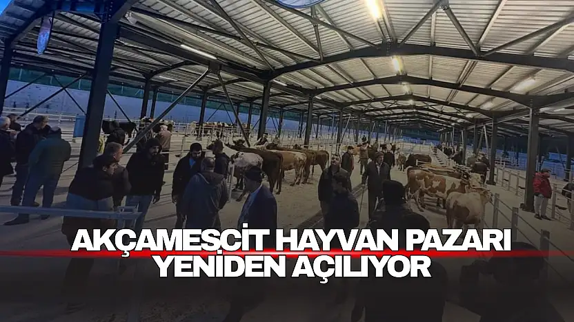 Akçamescit Hayvan Pazarı Yeniden Açılıyor