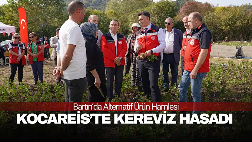 Alternatif Ürün Hamlesi: Kereviz Hasadı Yapıldı