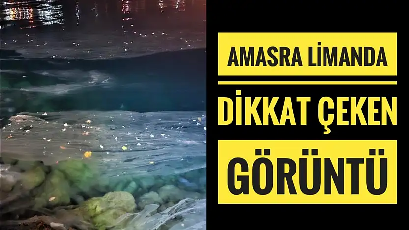 Amasra limanda dikkat çeken görüntü