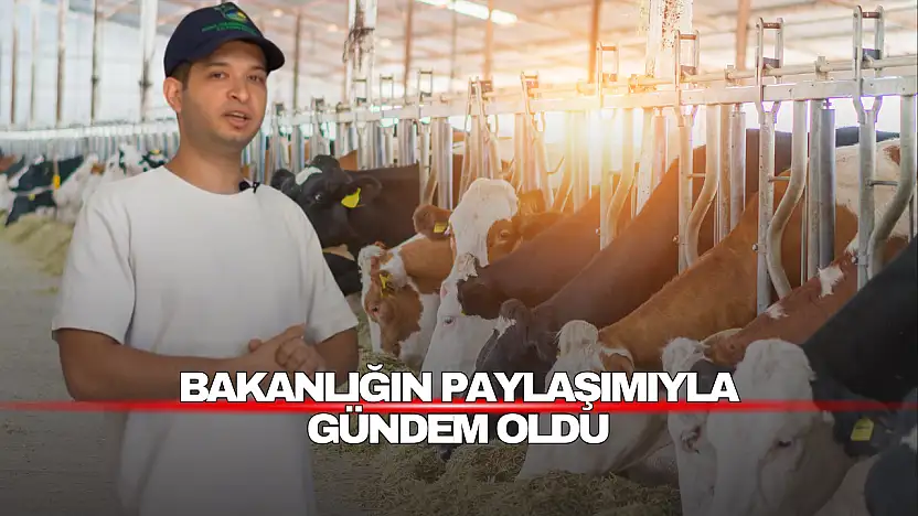 Bakanlığın Paylaşımıyla Gündem Oldu