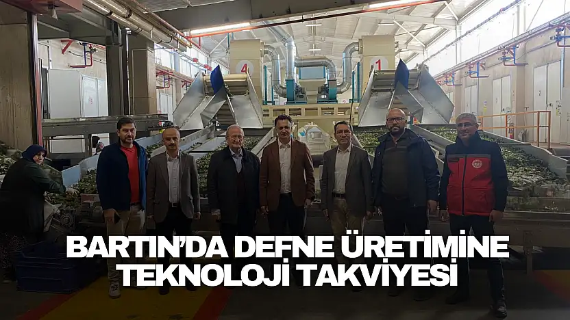 Bartın'da Defne Üretimine Teknoloji Takviyesi