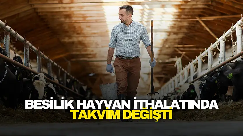 Başvurular Şubat'a Sarktı