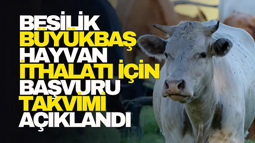 Başvuru Takvimi Açıklandı