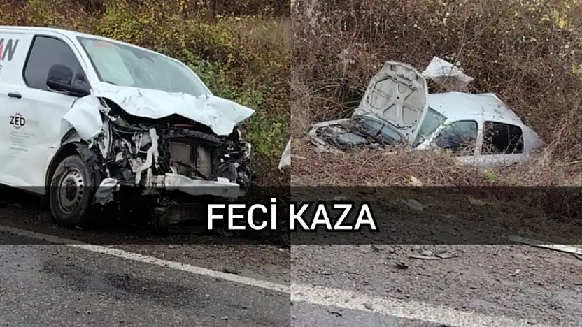 Feci Kaza