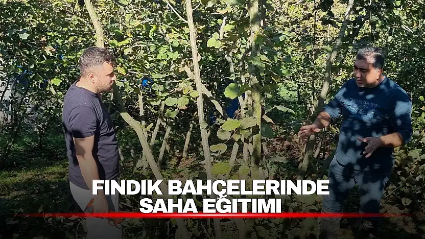 Fındık Üreticilerine Budama ve Kahverengi Kokarca Eğitimi
