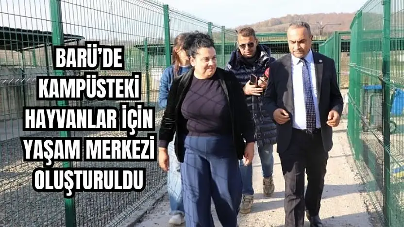 Güvenli ortamlarına kavuştular