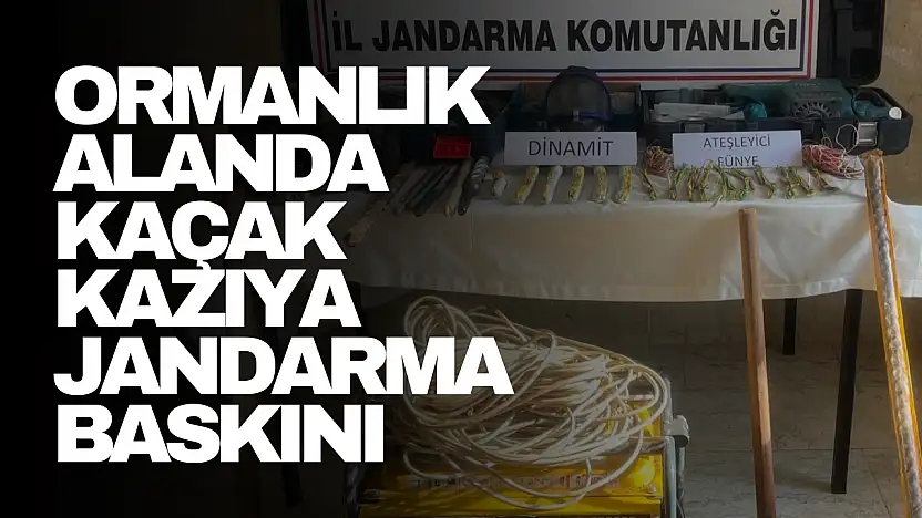 Kaçak Kazıya Jandarma Baskını