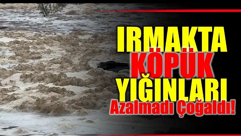 Kimyasal şüphesi korkutuyor