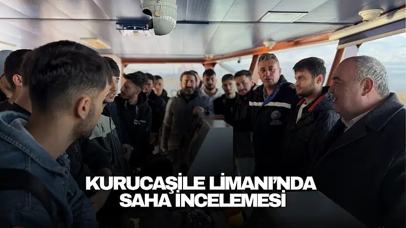 Kurucaşile Limanı'nda Saha İncelemesi