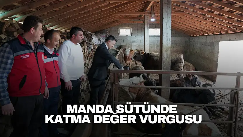 Manda Sütünde Katma Değer Vurgusu