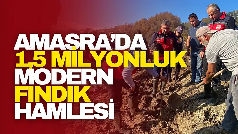 Milyonluk Modern Fındık Hamlesi