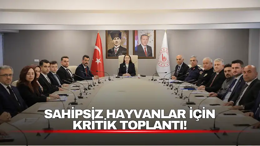 Sahipsiz Hayvanlar İçin Kritik Toplantı!