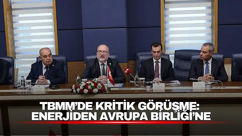 TBMM'de Kritik Görüşme: Enerjiden Avrupa Birliği'ne
