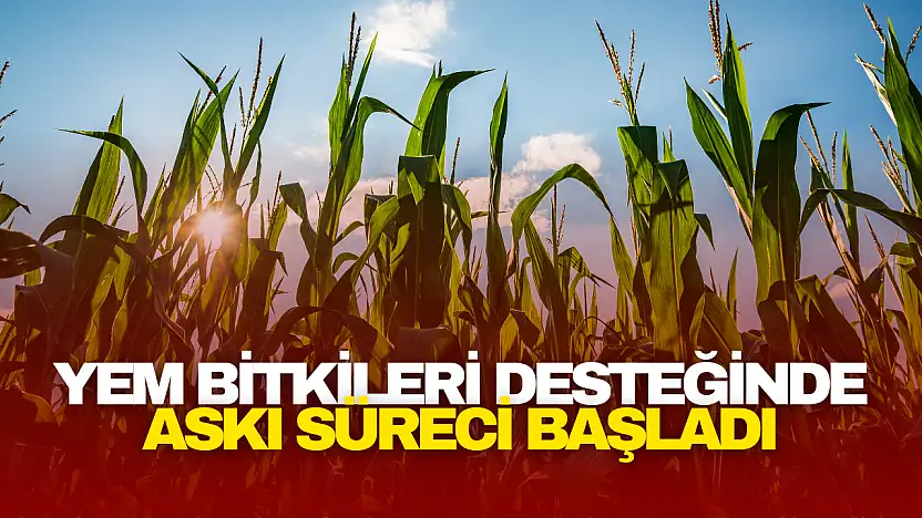 Yem Bitkileri Desteğinde Askı Süreci Başladı