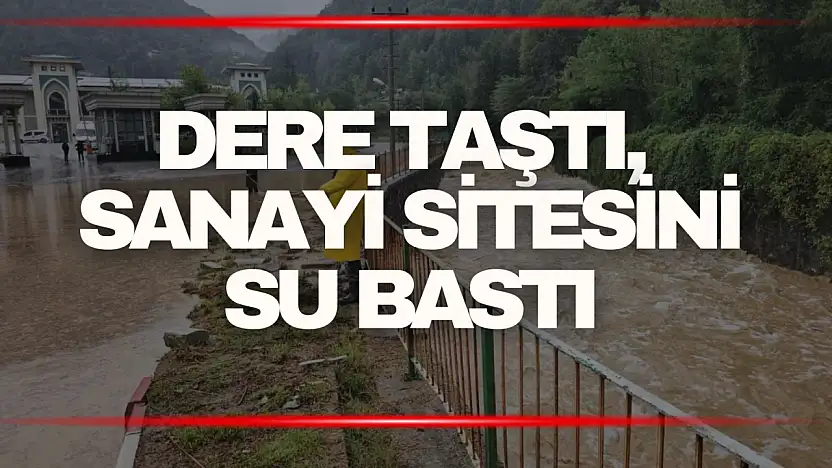 Zonguldak'ta sağanak sonrası dere taştı, sanayi sitesini su bastı